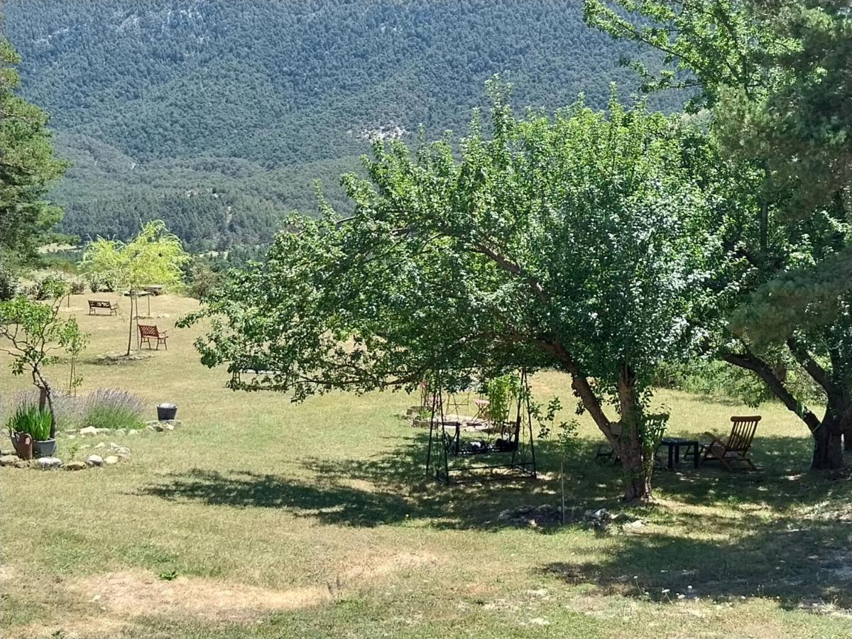 Petit Studio Dans La Prairie Saint-Auban  Εξωτερικό φωτογραφία