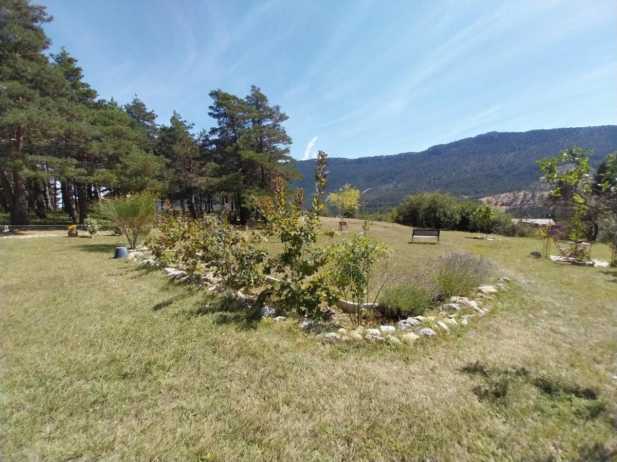 Petit Studio Dans La Prairie Saint-Auban  Εξωτερικό φωτογραφία