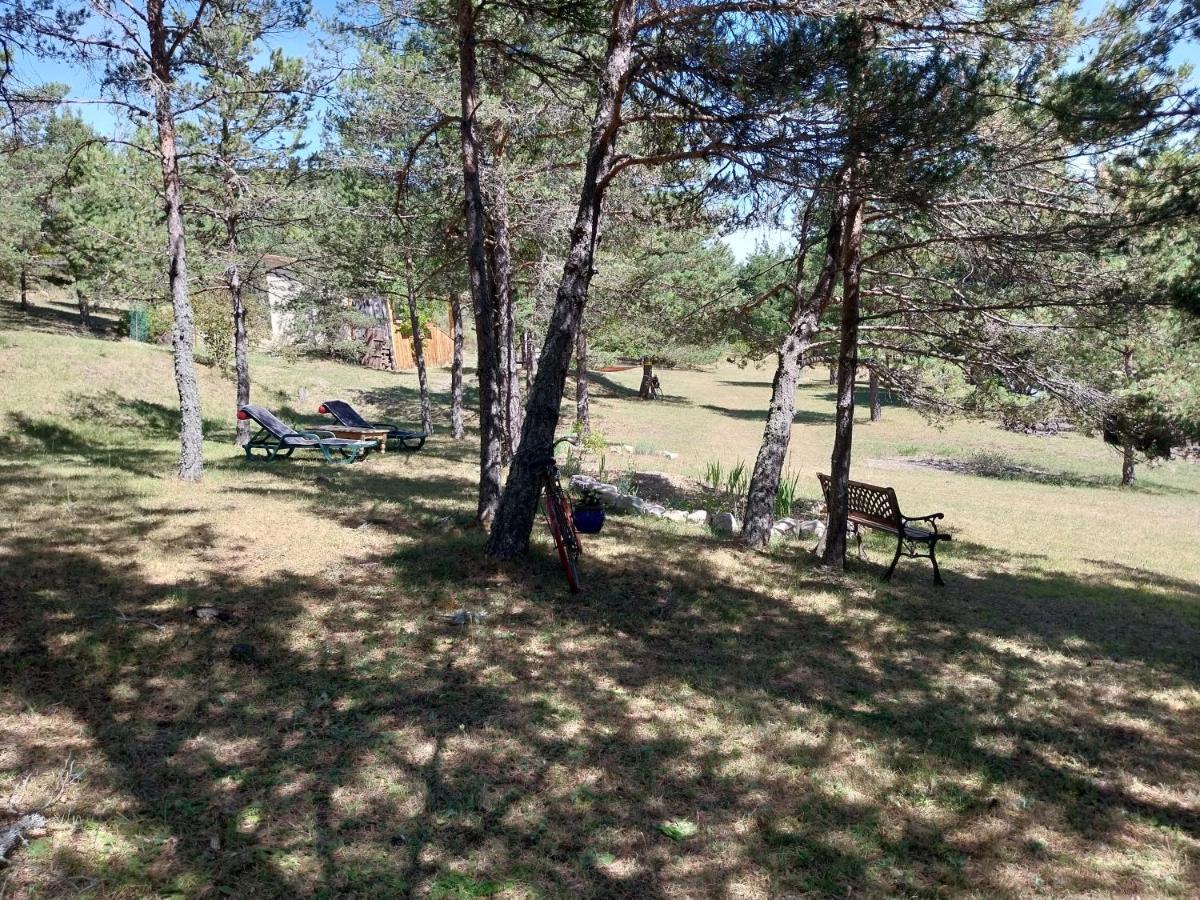 Petit Studio Dans La Prairie Saint-Auban  Εξωτερικό φωτογραφία
