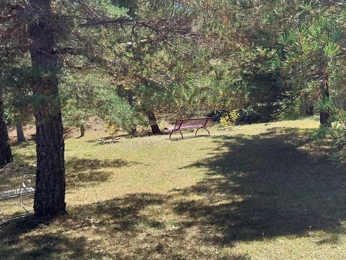 Petit Studio Dans La Prairie Saint-Auban  Εξωτερικό φωτογραφία